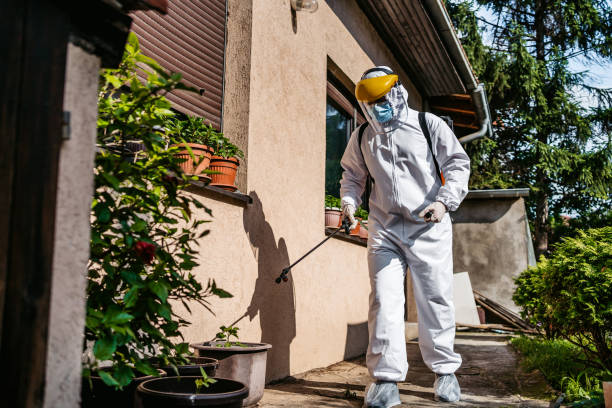 Best Termite Control Services  in Bryn Mawr Skyy, WA