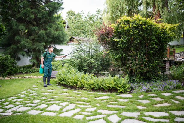 Best Affordable Pest Control Services  in Bryn Mawr Skyy, WA