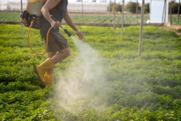 Best Affordable Pest Control Services  in Bryn Mawr Skyy, WA