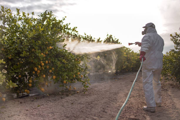  Bryn Mawr Skyy, WA Pest Control Pros