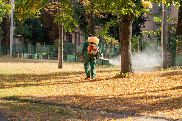Best Flea Control Services  in Bryn Mawr Skyy, WA