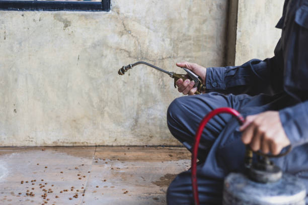 Best Best Pest Control Companies  in Bryn Mawr Skyy, WA